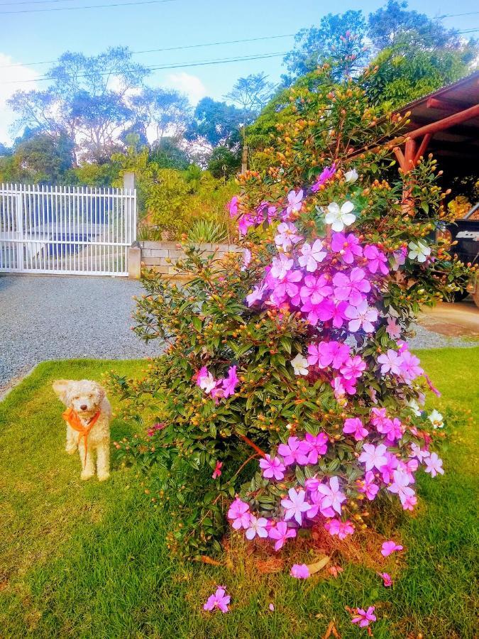 Le Petit Cherie Blumenau Buitenkant foto
